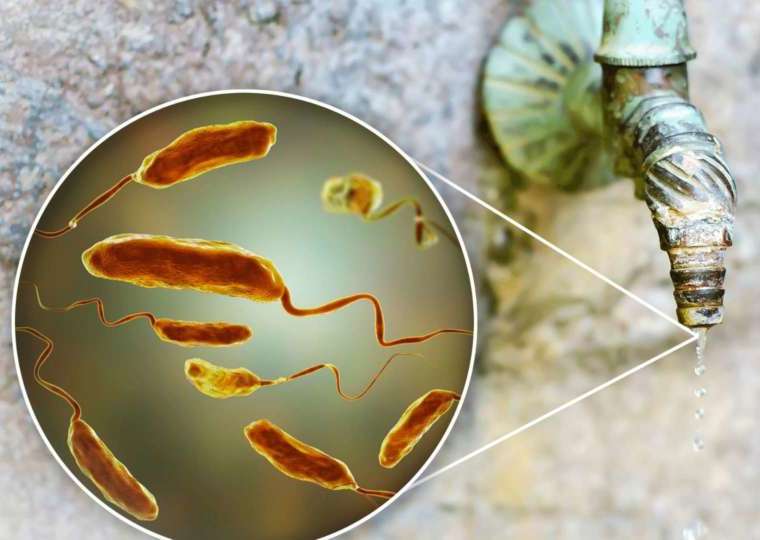 bacteria in well water bacteria in well water