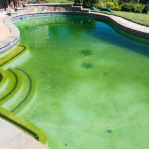 photo of swimming pool with green color for algae build up