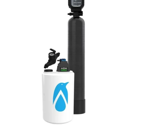 Iron sulfur oxidation system